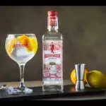 GIN TONIC BEAFEATER