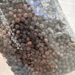 PIMIENTA NEGRA EN GRANO