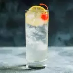 GIN TONIC
