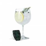GIN TÔNICA