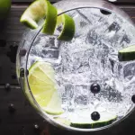 Gin Tonic