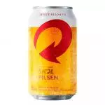 SKOL LATA 350ML