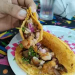 TACOS DE CERDO o POLLO