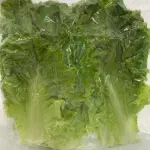 Alface Crespa