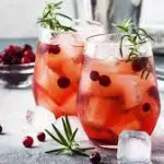 gin tonic saborizados