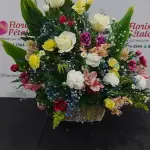 Producto 38