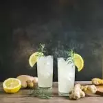 LIMONADA MENTA JENGIBRE