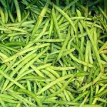 ejote