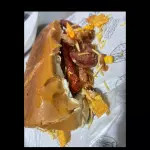 Dog Tudão