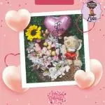 Box Peluche