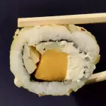 V5 SHIVA ROLL