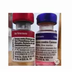 HEXAVALENTE AMERICANA