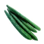 唐青瓜 pepino chino