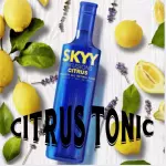 SKYY CITRUS VODKA & TONIC
