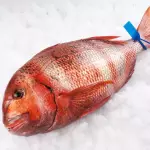 Urta