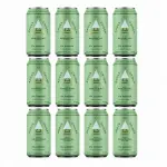 Cerveza Andes Ipa 473cc x12