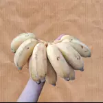 Banana prata africana/branca (penca)