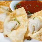 1 DOCENA DE WANTAN FRITO