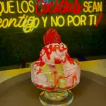COPA DE HELADO INDUSTRY (PERSONAL)