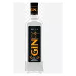 Gin Tudo 1L