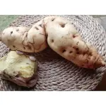 Batata doce - Tuca