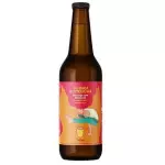 KOMBUCHA MORANGO COM MARACUJA 365ML