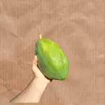 Mamão verde (Unidade)