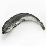 Pescadilla