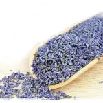 CHÁ DE ALFAZEMA AZUL 0,50gr