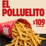 CONO POLLUELITO