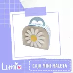 Mini Maleta