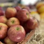Maçã branca de neve Importada