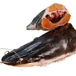 CABEZA DE BAGRE