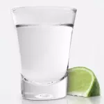 Shot