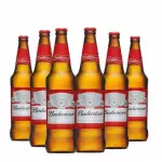 Budweiser 600ml