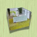LEMON PEPPER SEM SAL (50G)