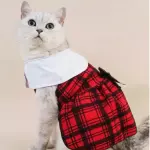 Michi vestido