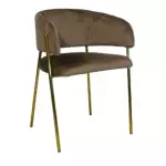 Silla Amberes