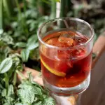Negroni