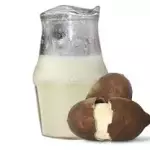 Cupuaçu