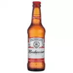 LONG NECK DE CERVEJA BUDWEISER