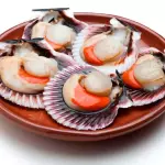 Vieiras