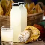 SUCO NATURAL DE CACAU 500 ML (155)
