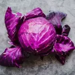 Repollo morado