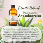 POLIPLANT ANTISEBORREICO