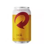 Cerveja Skol Lata