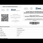 ACTUALIZACIÓN DE RFC