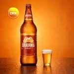 BRAHMA CHOPP, 1L