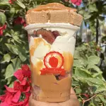 Strawberry cocosette 16 onz