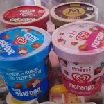 MINI ESKI BOM DE POTE